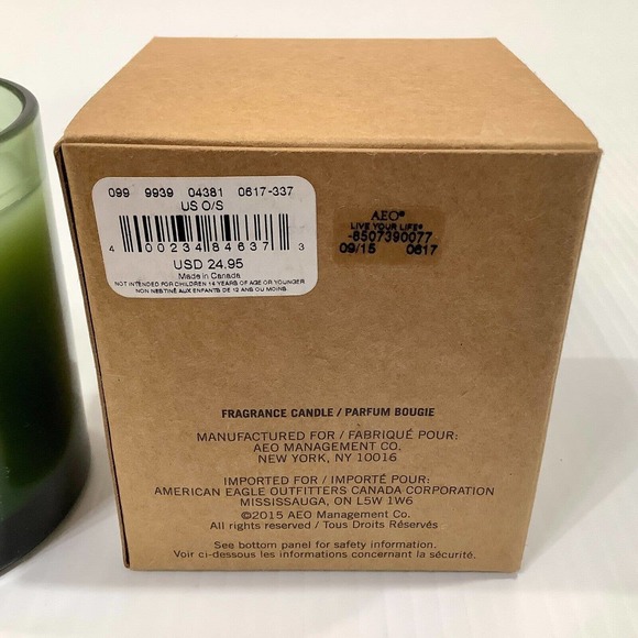 American Eagle Outfitters Live Your Life 5.5oz Christmas Scent Fragrance Candle - Picture 3 of 5